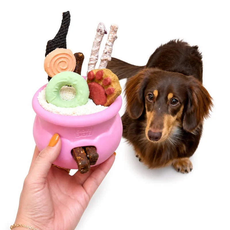 bollball rosa recheado com petiscos ao lado de um cachorro