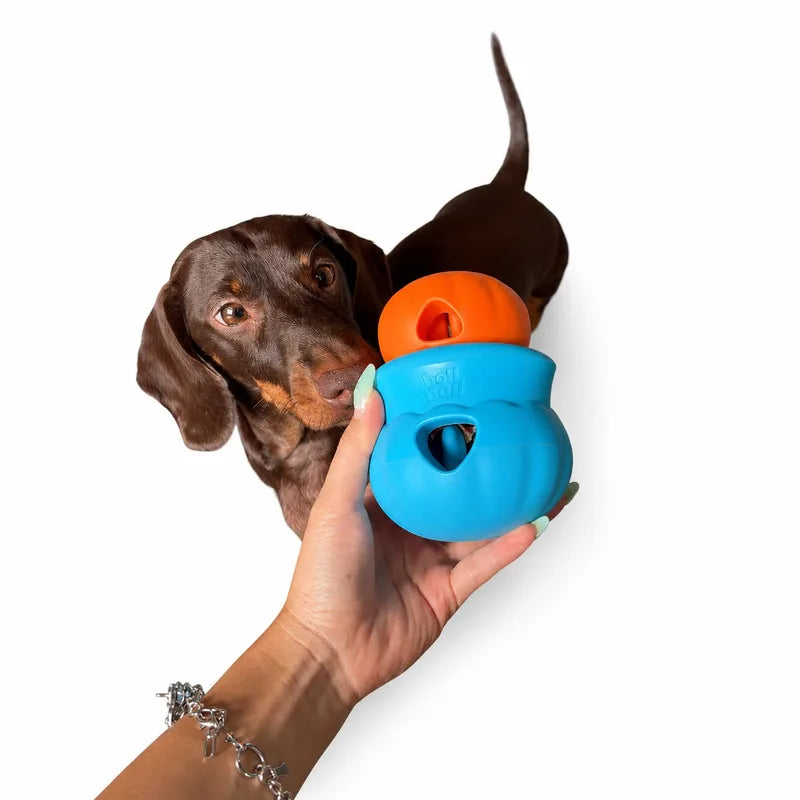 bollball azul e laranja encaixados na mão, com cachorro ao lado